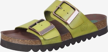 DR. BRINKMANN Pantolette 'Bonillo' in Grün: Vorderseite