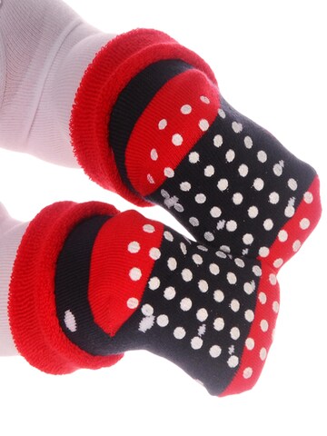 La Bortini Socken in 