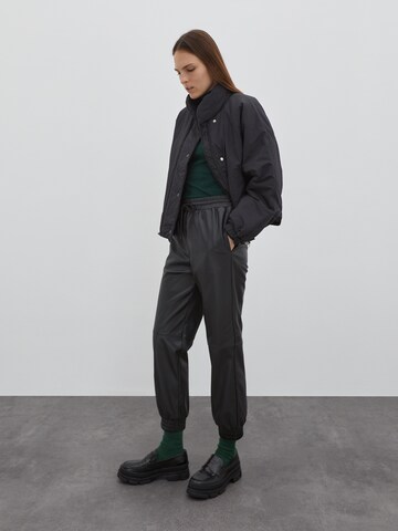 EDITED - Tapered Pantalón 'Madison' en negro