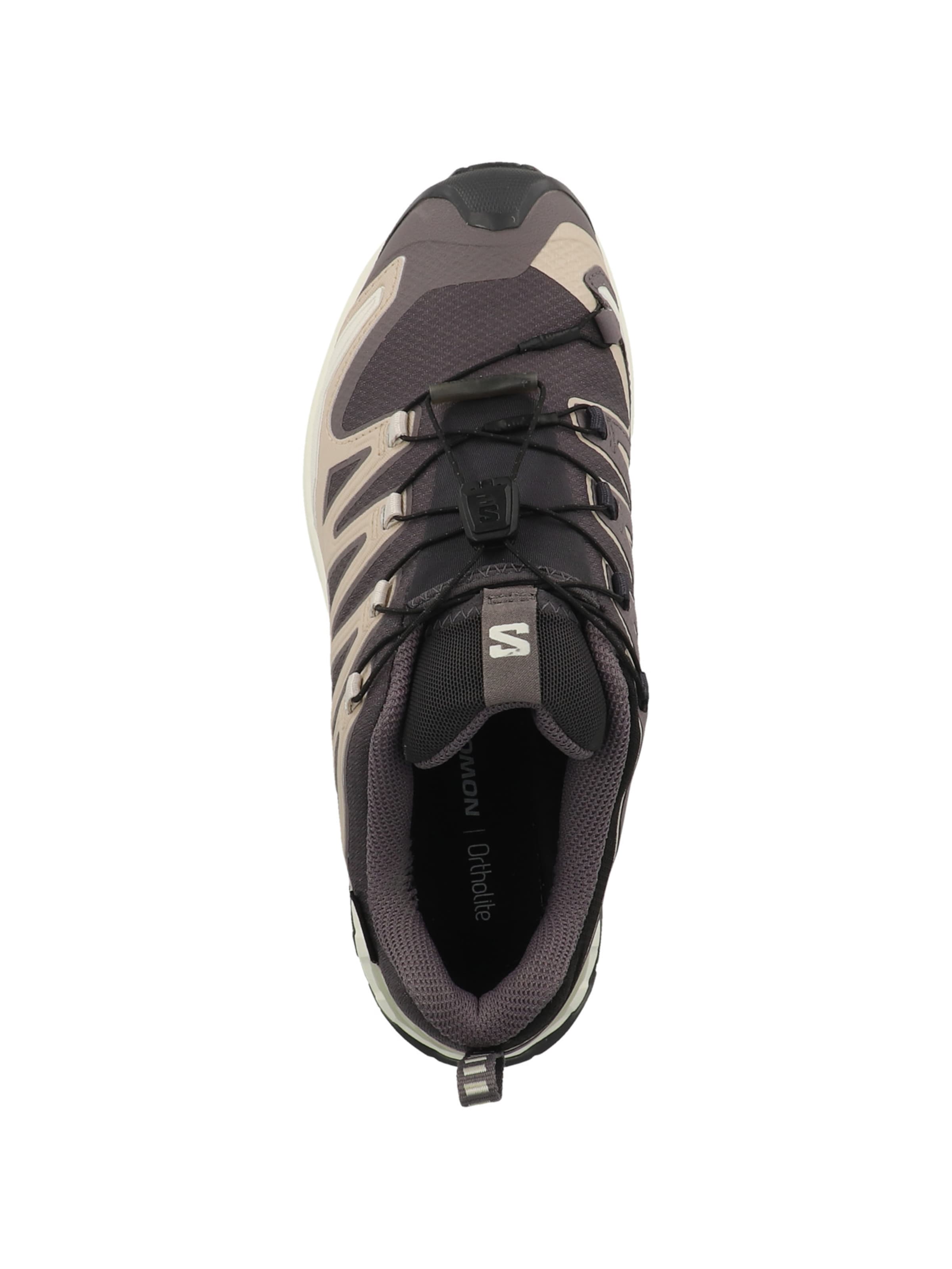 Chaussure de course 'XA Pro 3D V9' SALOMON en gris
