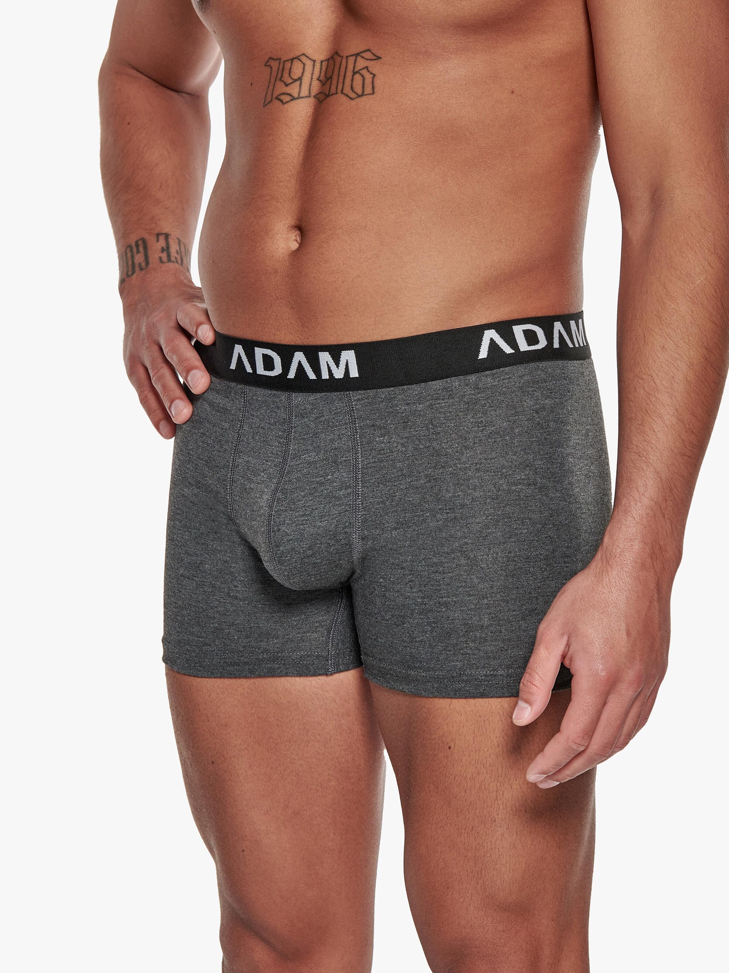Adam Boxer shorts '12er Pack' in Grey