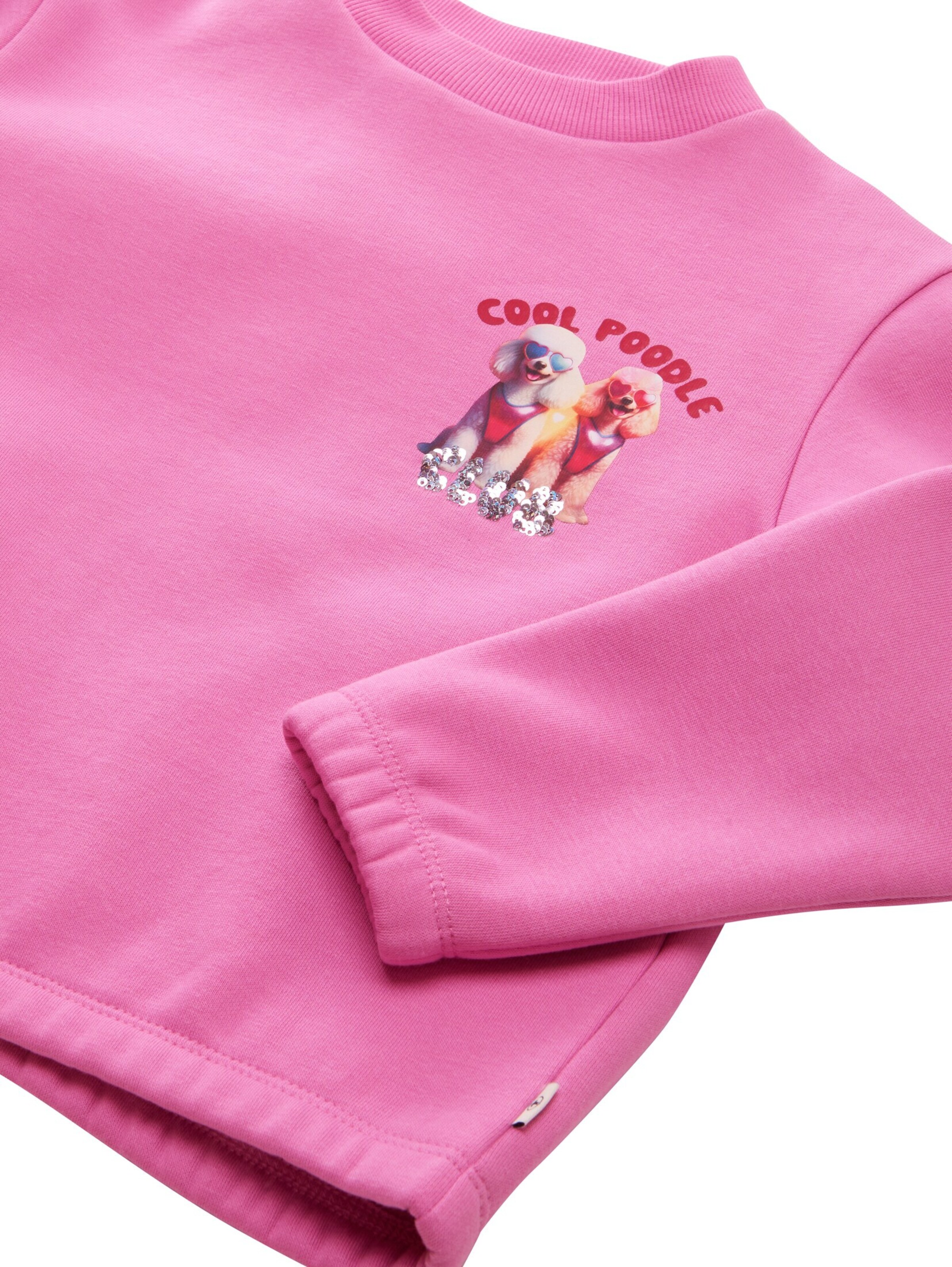 TOM TAILOR Sweatshirt in Pink