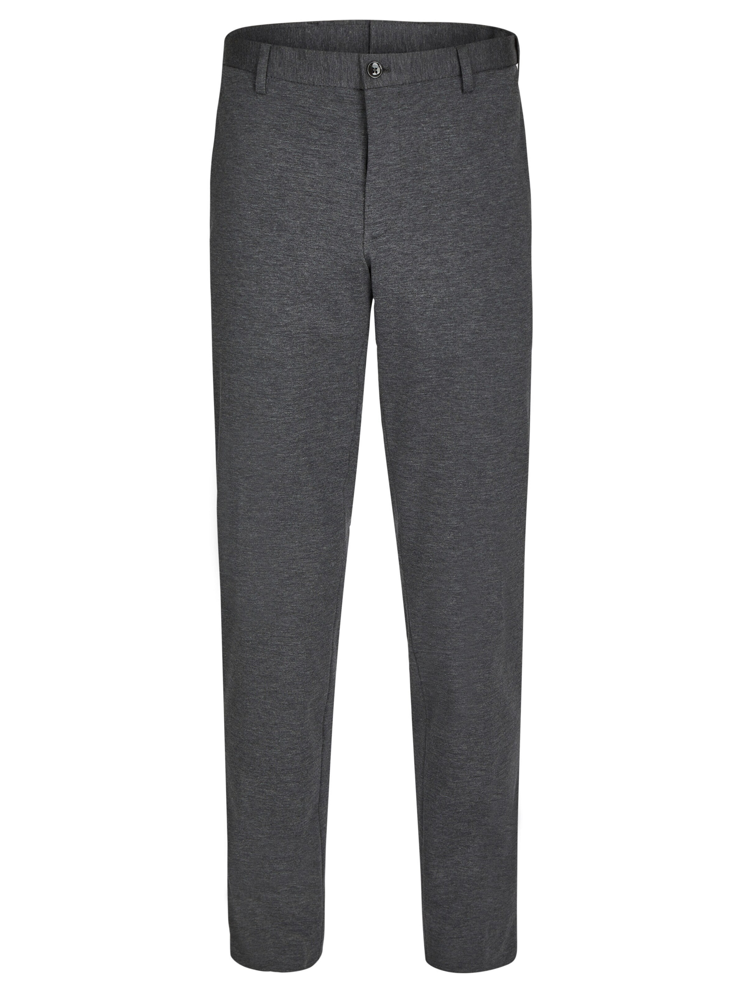 HECHTER PARIS Regular Trousers in Grey: front