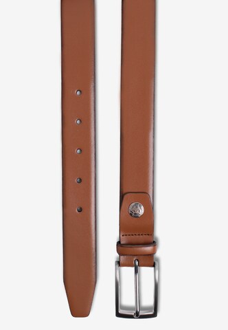 Ceinture ROY ROBSON en marron