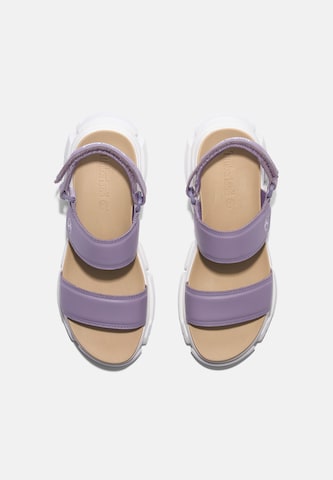 TIMBERLAND Páskové sandály 'Adley' – fialová