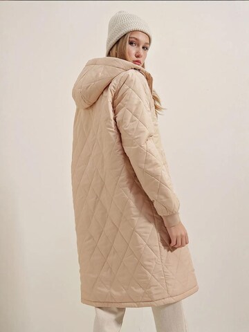 Manteau d’hiver Bigdart en marron