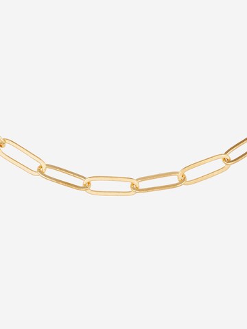 Orelia Kette in Gold