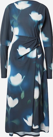 Ted Baker Платье 'TALHAAA' в Синий: спереди