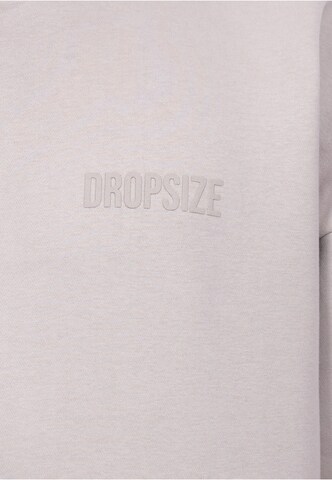 Dropsize Sweatjacke in Grau