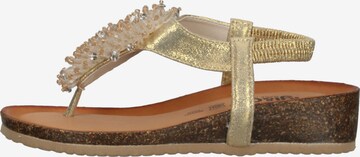 IGI&CO Teenslipper in Goud