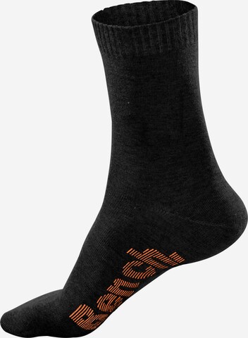 BENCH Socks in Black