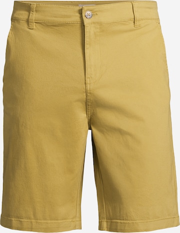 Pantaloni chino di AÉROPOSTALE in giallo: frontale