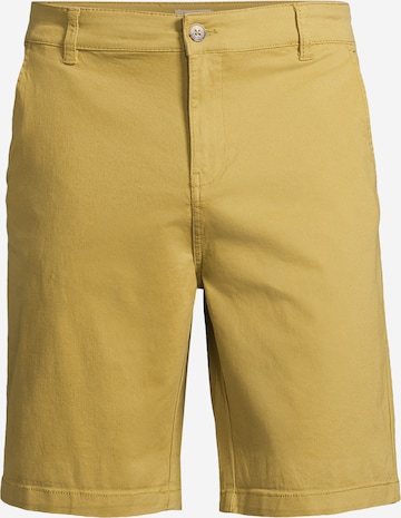 regular Pantaloni chino di AÉROPOSTALE in giallo: frontale