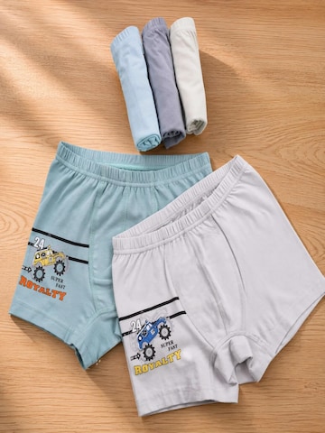 LOREZA - Calzoncillo 'Jungen Boxershorts Rallye' en Mezcla de colores