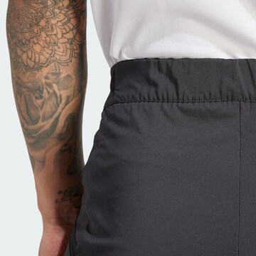 ADIDAS TERREX - regular Pantalón de montaña 'Xperior' en negro
