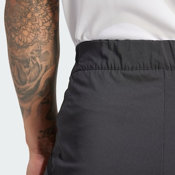 ADIDAS TERREX Regular Workout Pants 'Xperior' in Black
