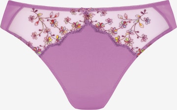 String 'Delightful' Mey en violet : devant