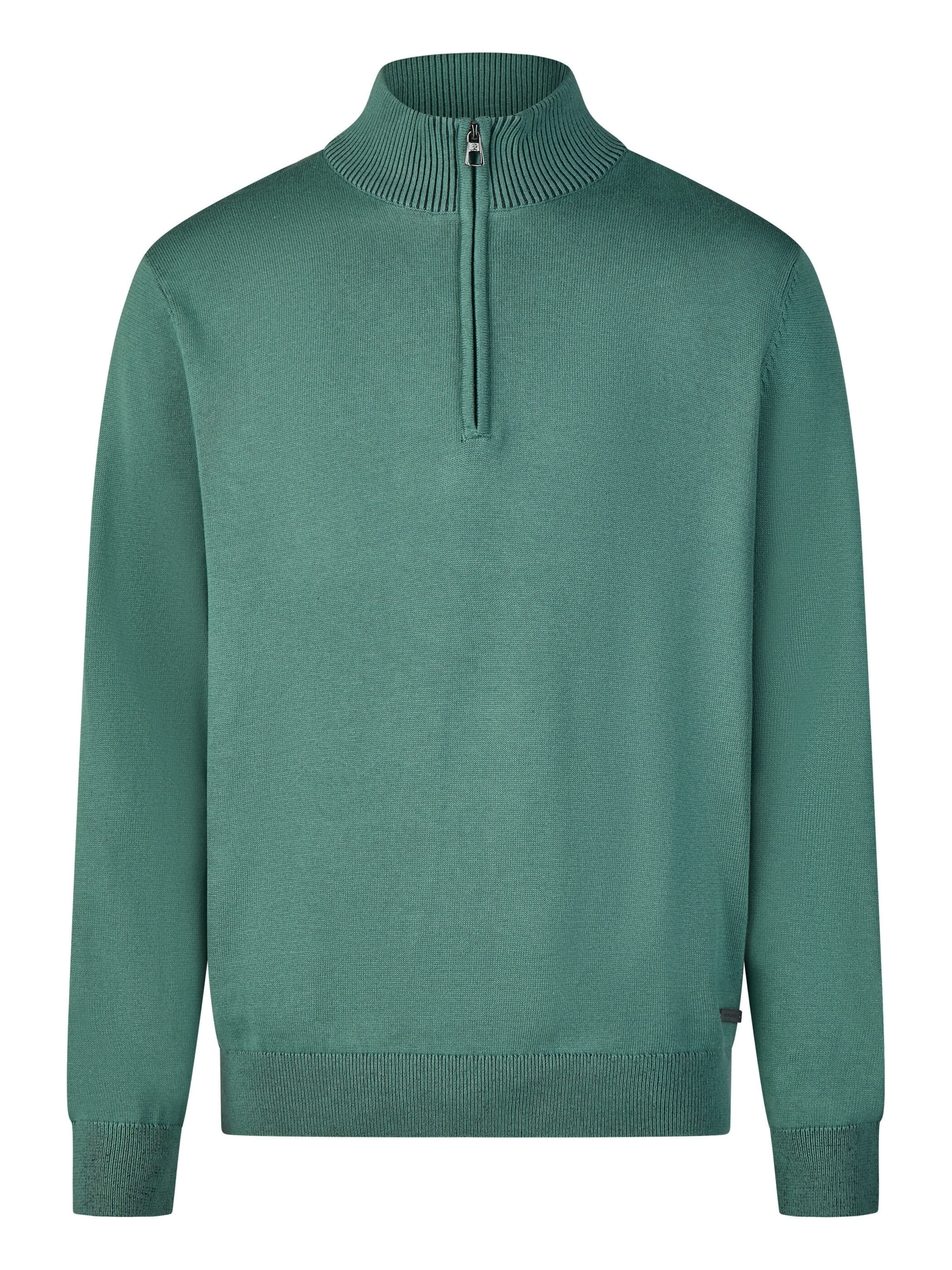 PIERRE CARDIN Sweater in Green: front
