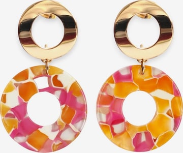 Fräulein Wunder - Brincos 'Acetat Adua' em rosa: frente
