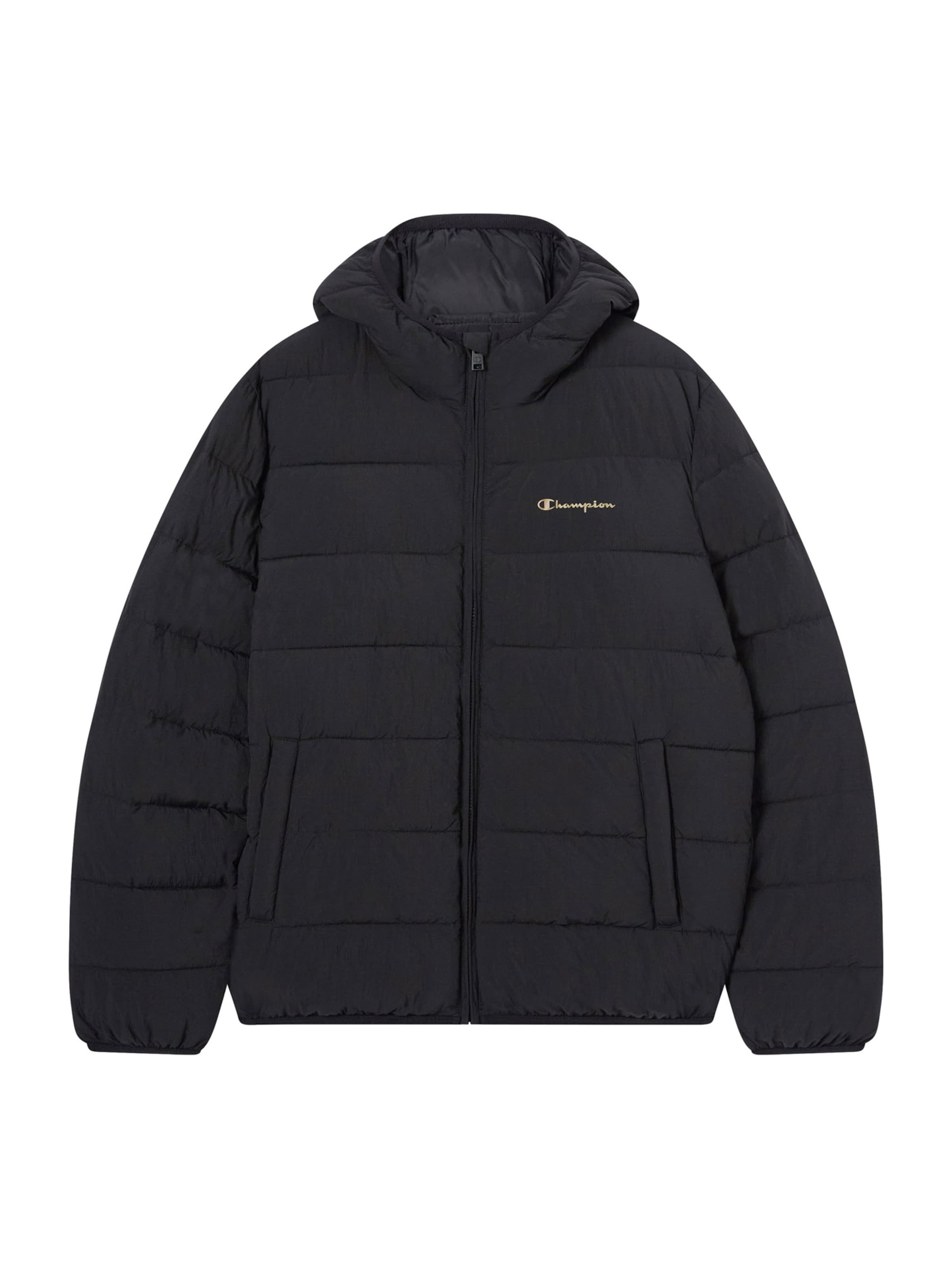 Giacca invernale di Champion Authentic Athletic Apparel in nero: frontale