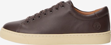 TIMBERLAND Низкие кроссовки в Коричневый: спереди