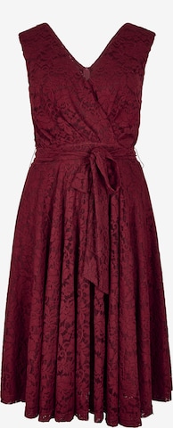 Apricot Floral Lace Fit And Flare Mini Dress ' ' in Rot: Vorderseite