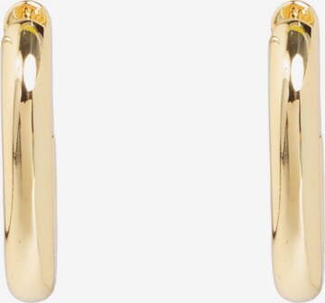 FILIPPA FIRENZE Earrings 'Malfy' in Gold