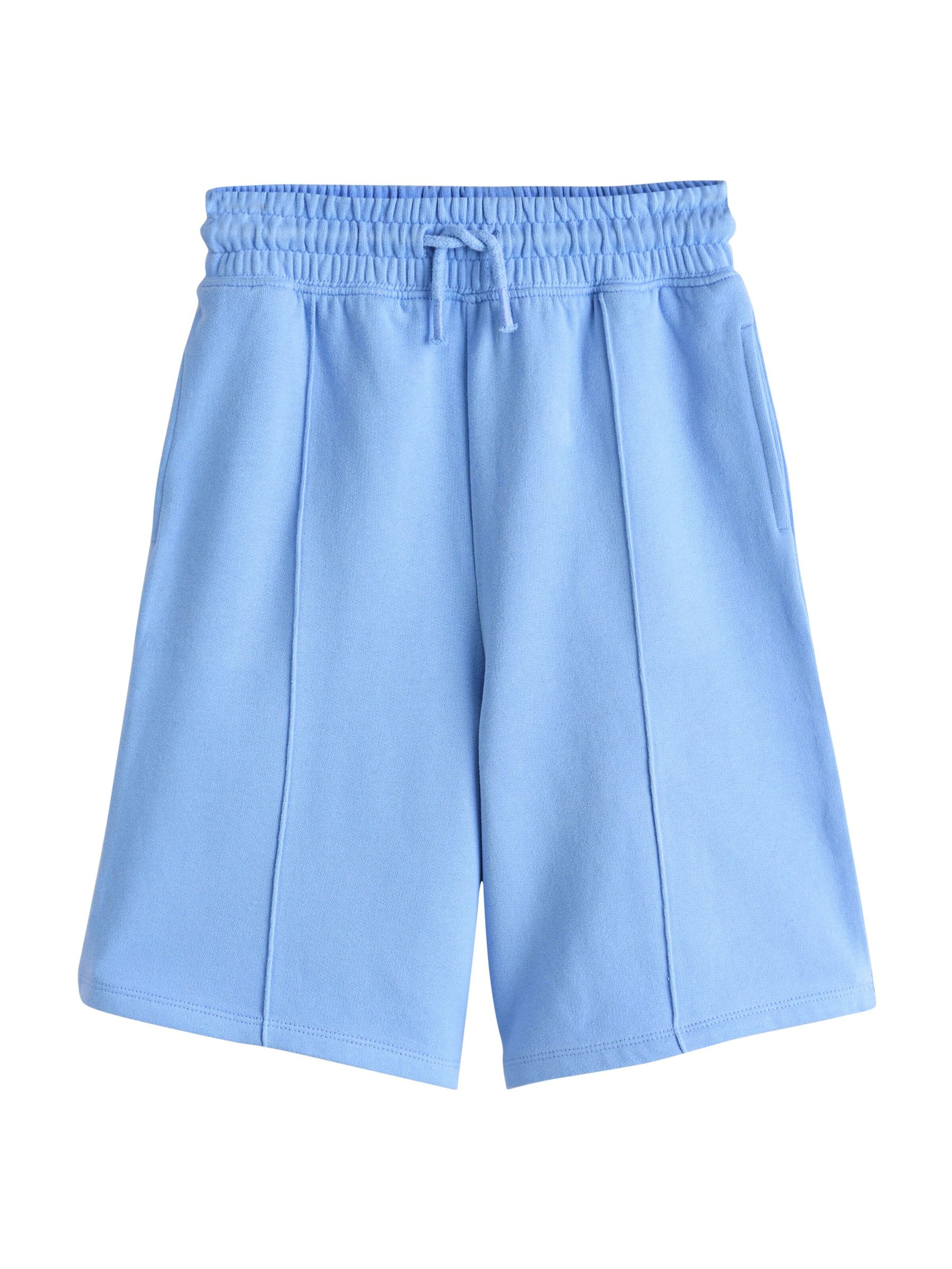 Next Wide leg Παντελόνι σε μπλε: μπροστά