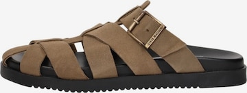 STEVE MADDEN Pantolette 'Mamba' in Grau: Vorderseite