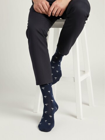 The Arctic Bay - Calcetines 'AMAZONAS EDITION Gift box 4 Pack Unisex' en Mezcla de colores