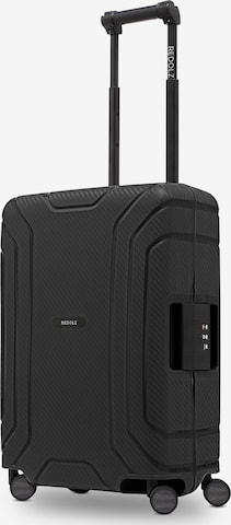 Redolz Trolley in Schwarz: Vorderseite