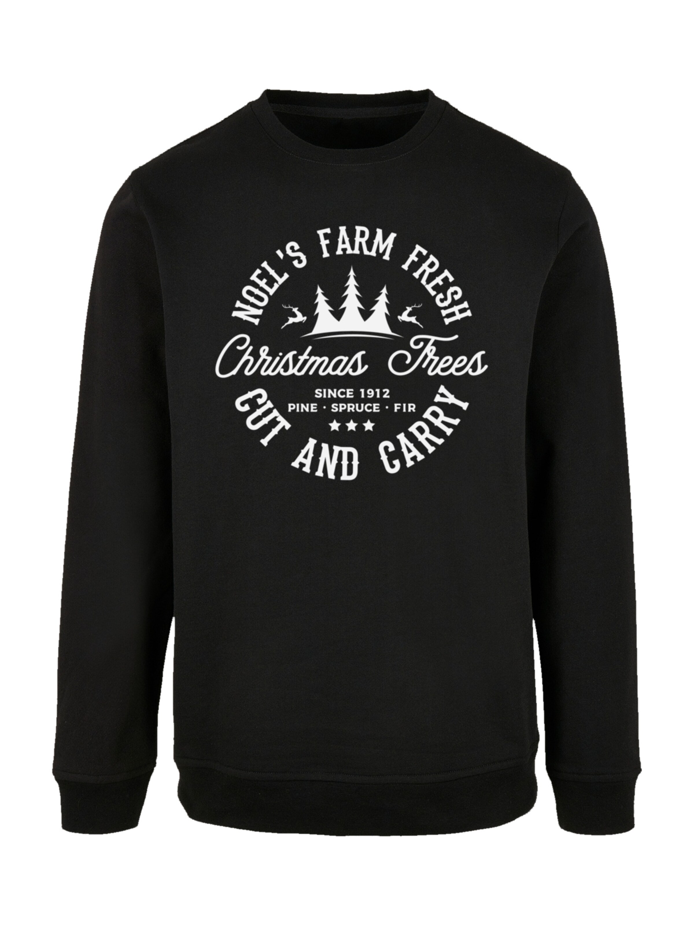 F4NT4STIC Sweatshirt in Black: front