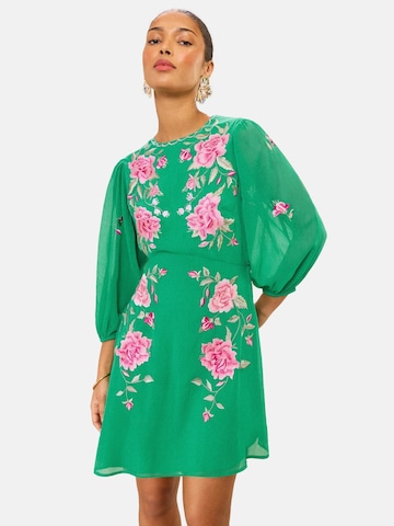 love & roses Kjole i grøn: forside