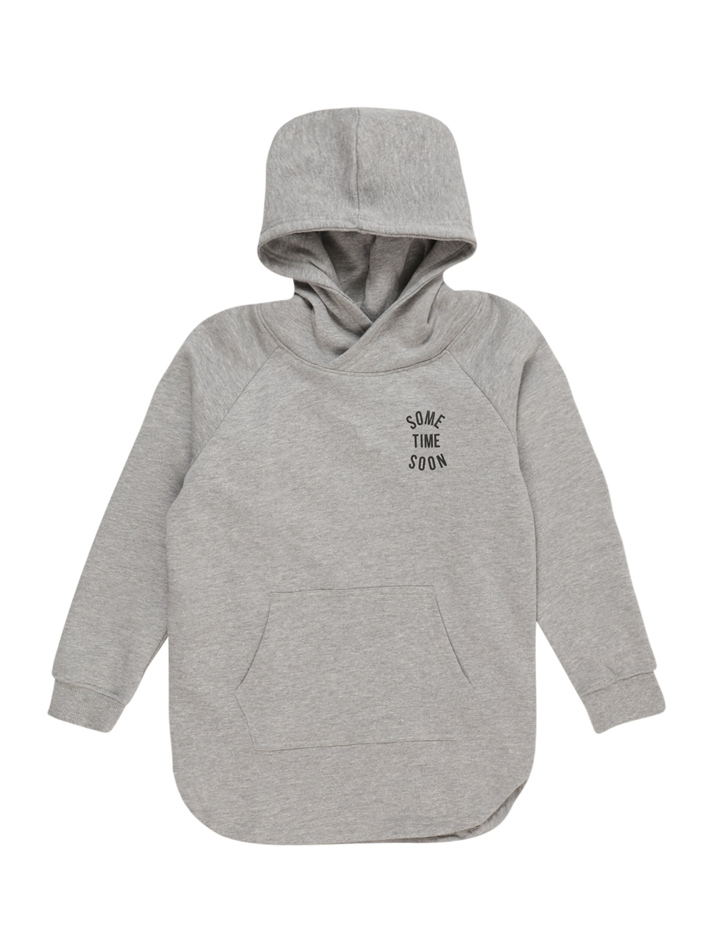 SOMETIME SOON Sweatshirt 'Monterey' i grå: forside