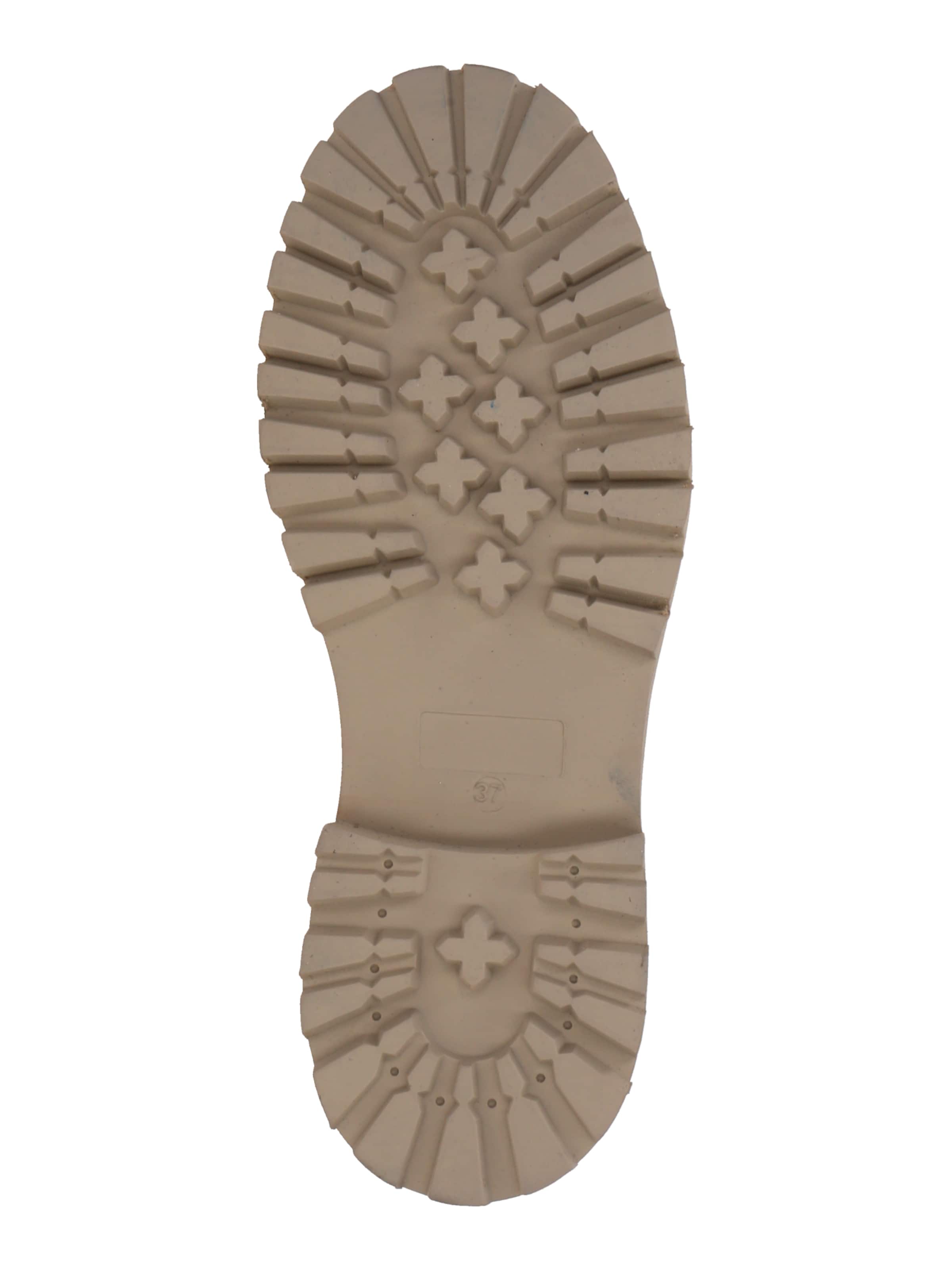 Apple of Eden Ботинки на шнуровке 'GENEVE' в Серый