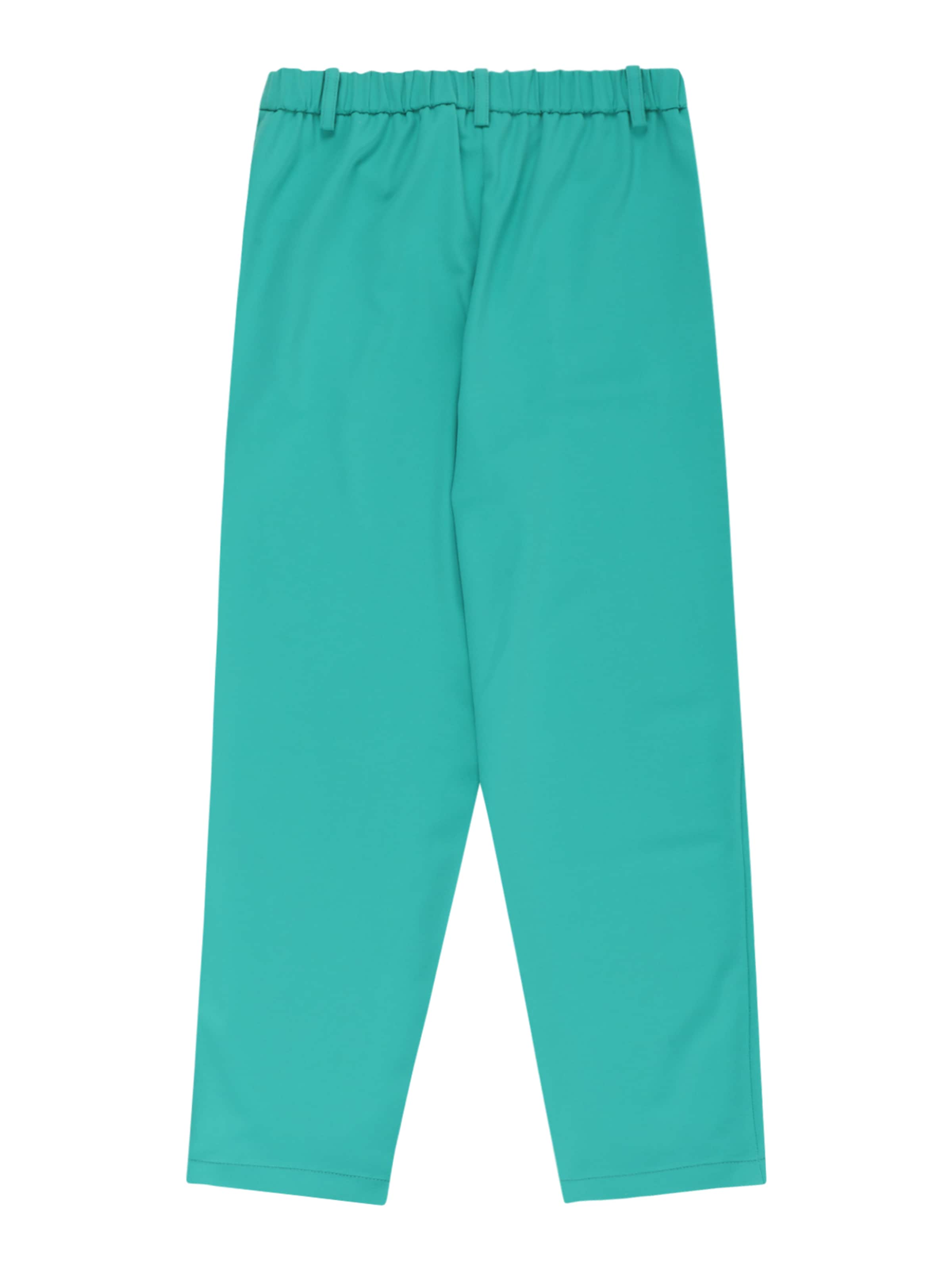 PATRIZIA PEPE tavaline Püksid, värv roheline