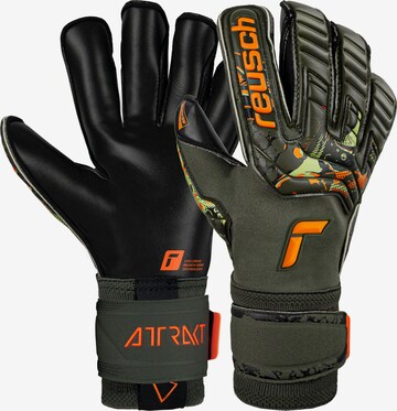 REUSCH Sporthandschuhe 'Attrakt Gold X Evolution Cut' in Grün: predná strana