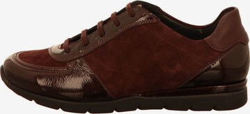 SEMLER Lace-Up Shoes in Brown: front