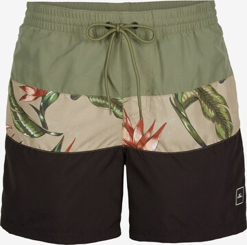 O'NEILL Board Shorts in Green: front