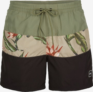 Shorts de bain O'NEILL en vert : devant