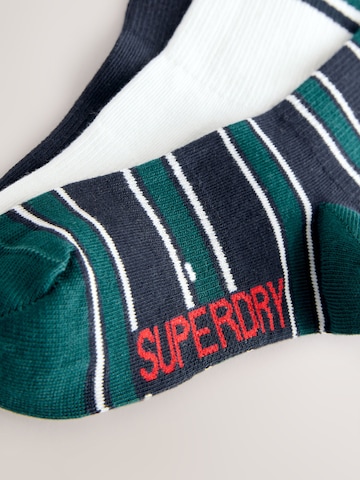 Calzino di Superdry in blu