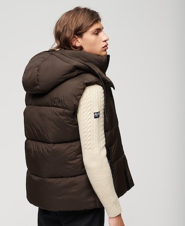 Gilet Superdry en marron