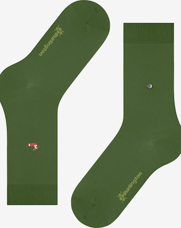 BURLINGTON Socks 'Brit Style' in Green: front