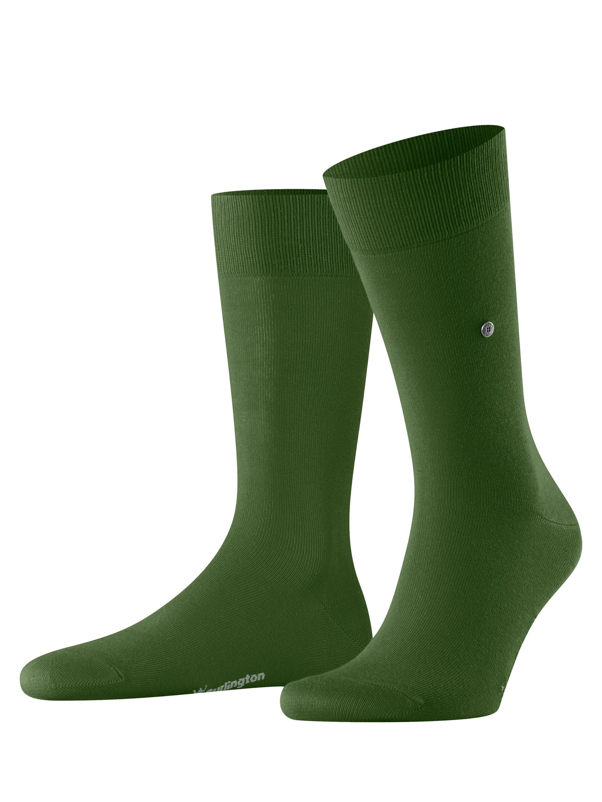 BURLINGTON Socken 'Lord'‌‌‌‌‌‌‌ in Grün: Vorderseite