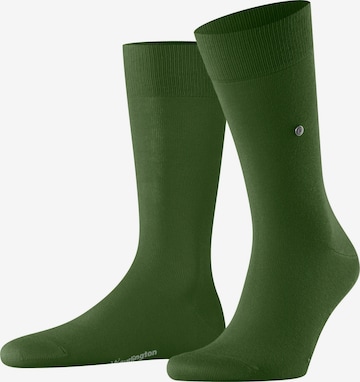 BURLINGTON Socken 'Lord' in Grün: Vorderseite