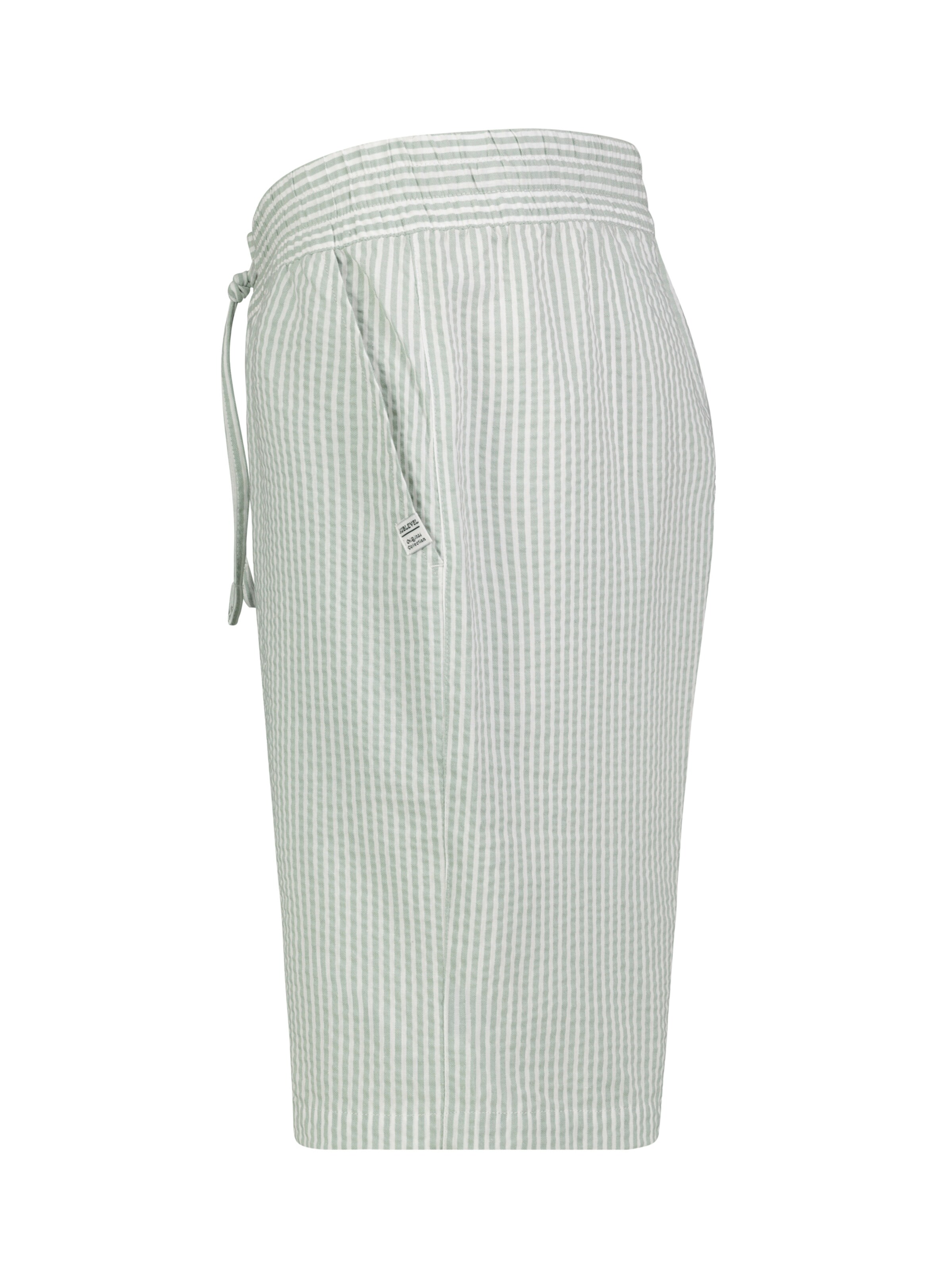 Sublevel Regular Shorts in Grün