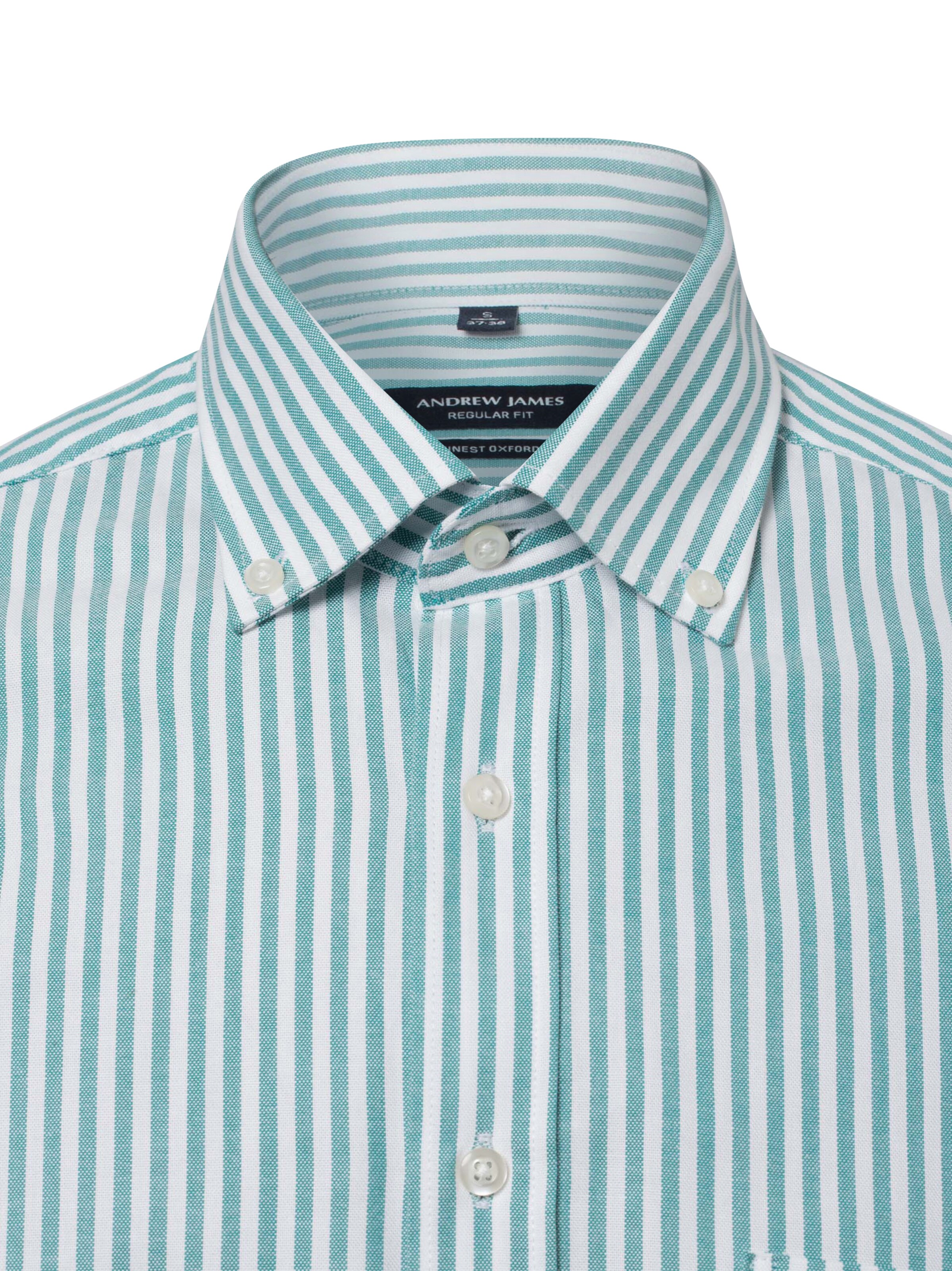 Andrew James Regular Fit Freizeithemd ' ' in Grün