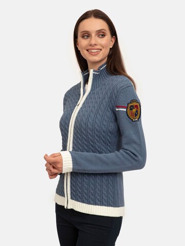 Williot Strickjacke in Blau: predná strana