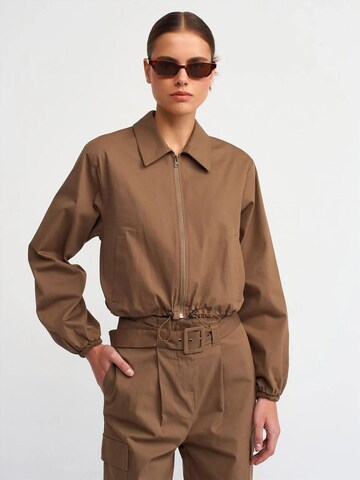 Dilvin Between-Season Jacket in Brown: front