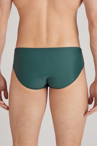 INTIMISSIMI Board Shorts in Green